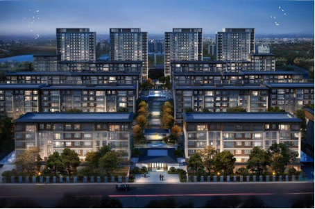 25111716003746500855